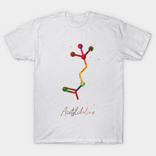 Acetylcholine molecule T-Shirt by erzebeth